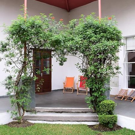 La Casa De Las Magnolias Hotel Coyoacan Zewnętrze zdjęcie