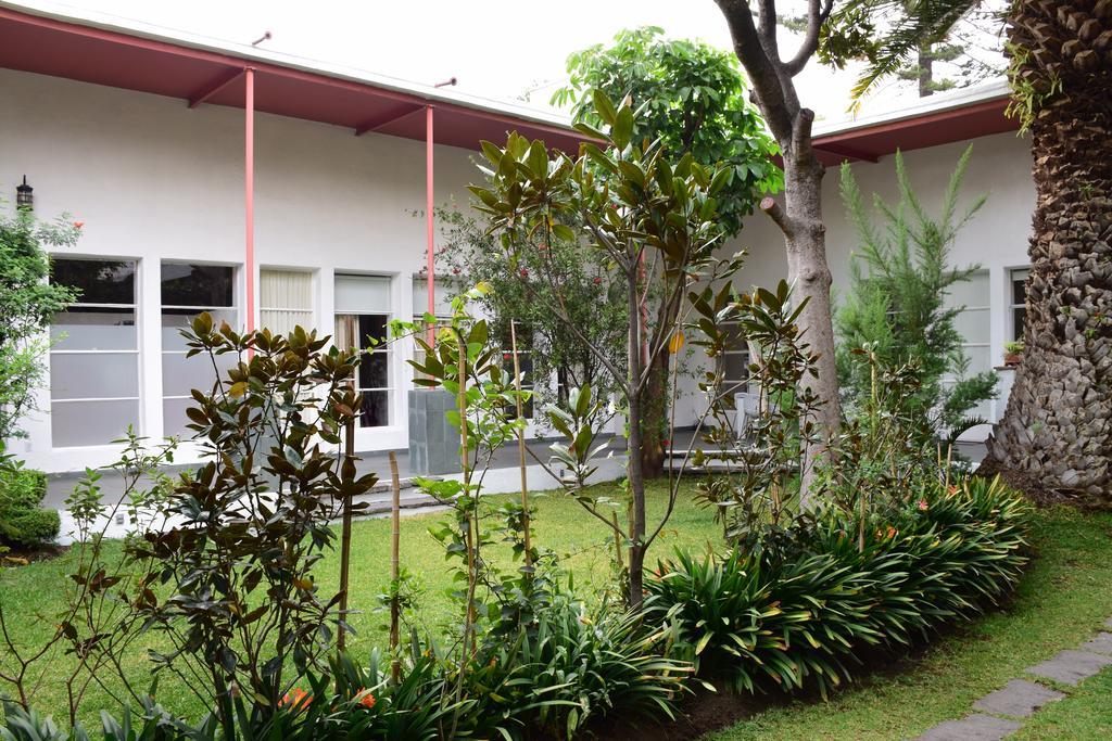 La Casa De Las Magnolias Hotel Coyoacan Zewnętrze zdjęcie
