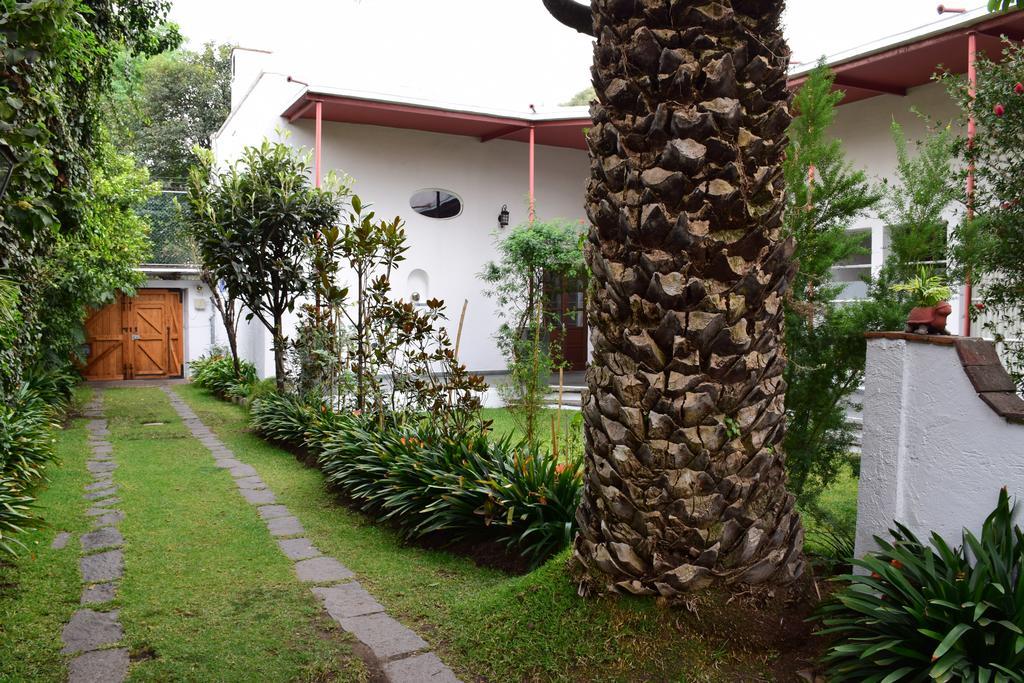 La Casa De Las Magnolias Hotel Coyoacan Zewnętrze zdjęcie