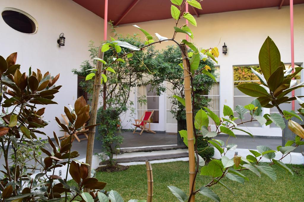 La Casa De Las Magnolias Hotel Coyoacan Zewnętrze zdjęcie