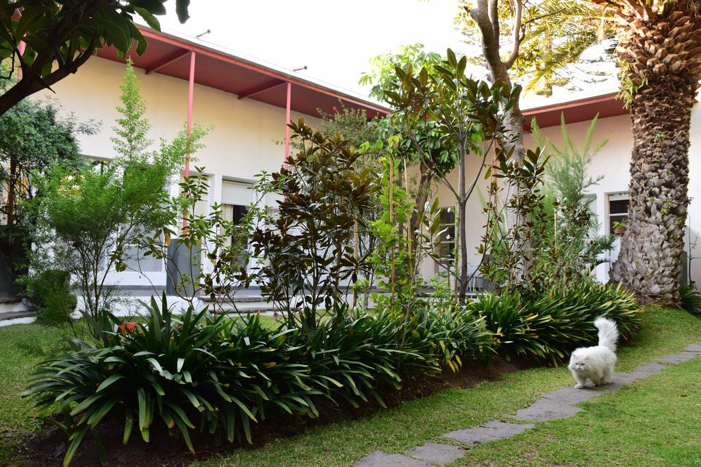 La Casa De Las Magnolias Hotel Coyoacan Zewnętrze zdjęcie
