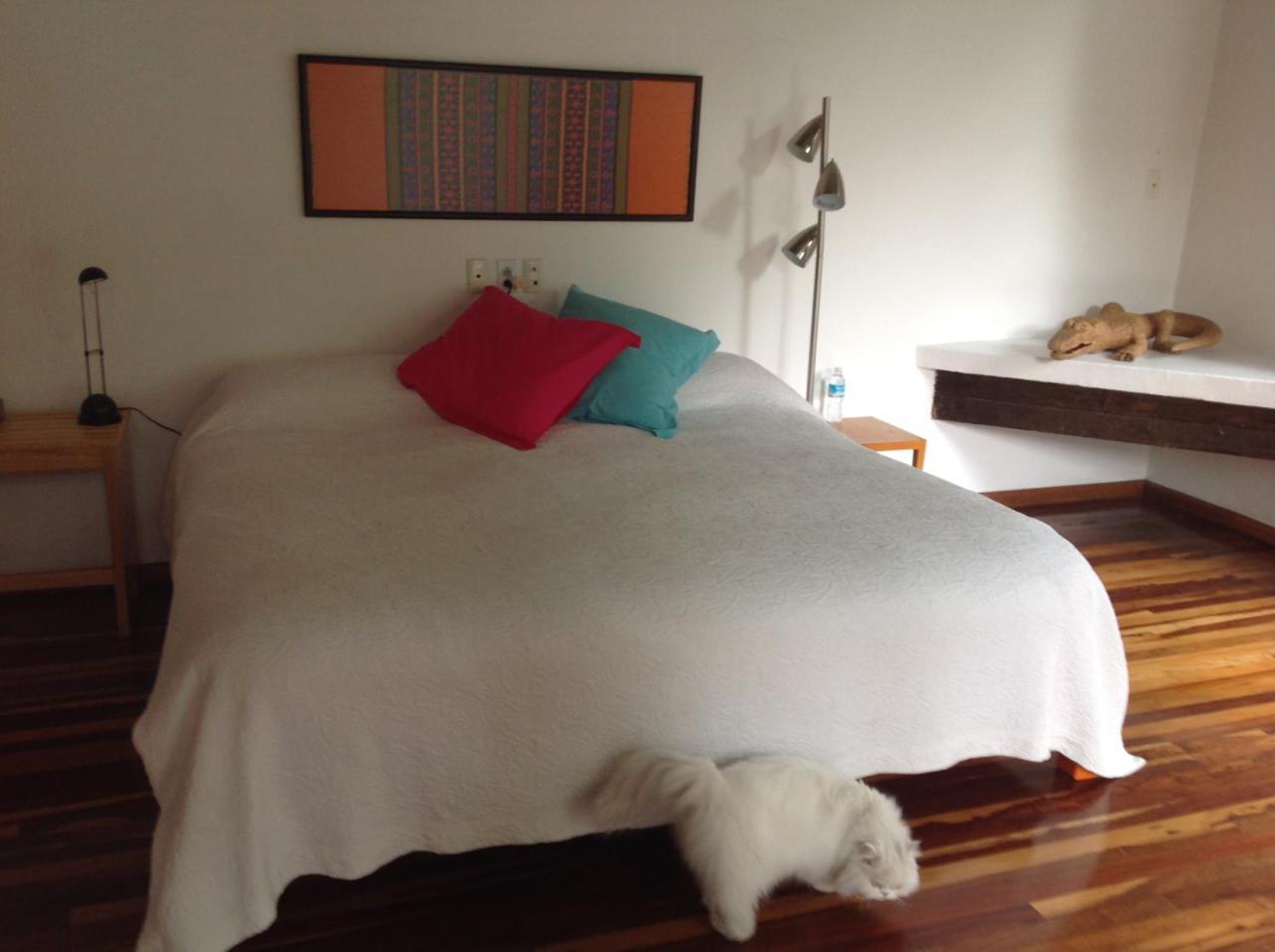 La Casa De Las Magnolias Hotel Coyoacan Zewnętrze zdjęcie
